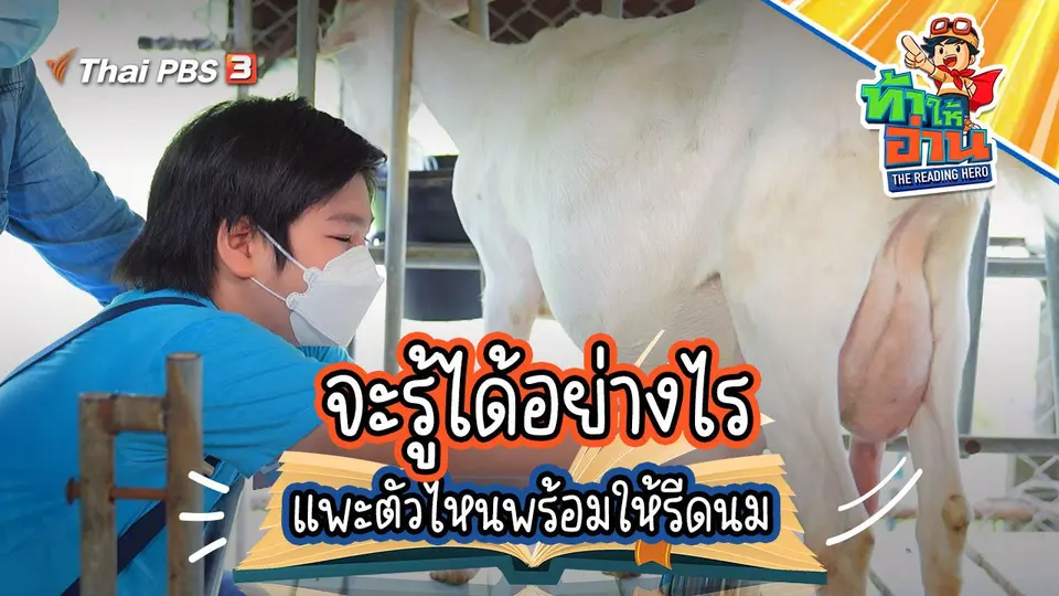 รู้จักแพะ ไปกับน้องสโตนและน้องแอร์