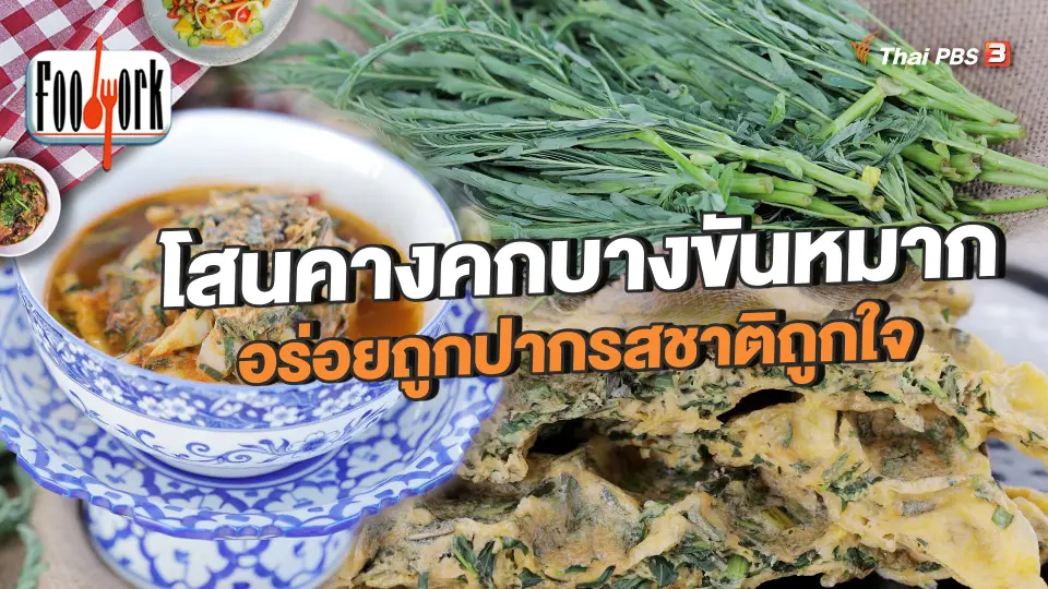 โสนคางคกบางขันหมาก อร่อยถูกปากรสชาติถูกใจ