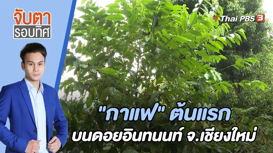 จับตารอบทิศ