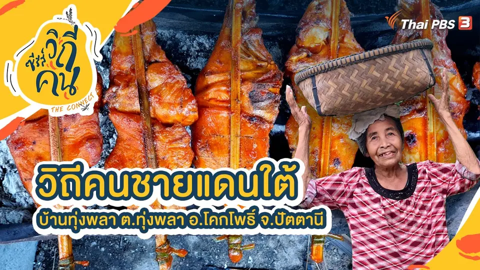 วิถีคนชายแดนใต้ บ้านทุ่งพลา ต.ทุ่งพลา อ.โคกโพธิ์ จ.ปัตตานี