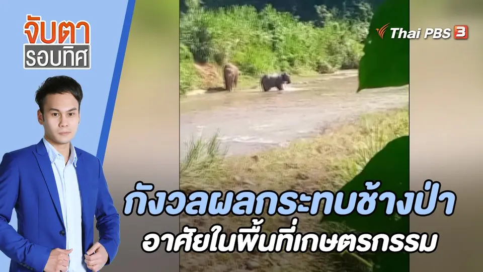 จับตารอบทิศ