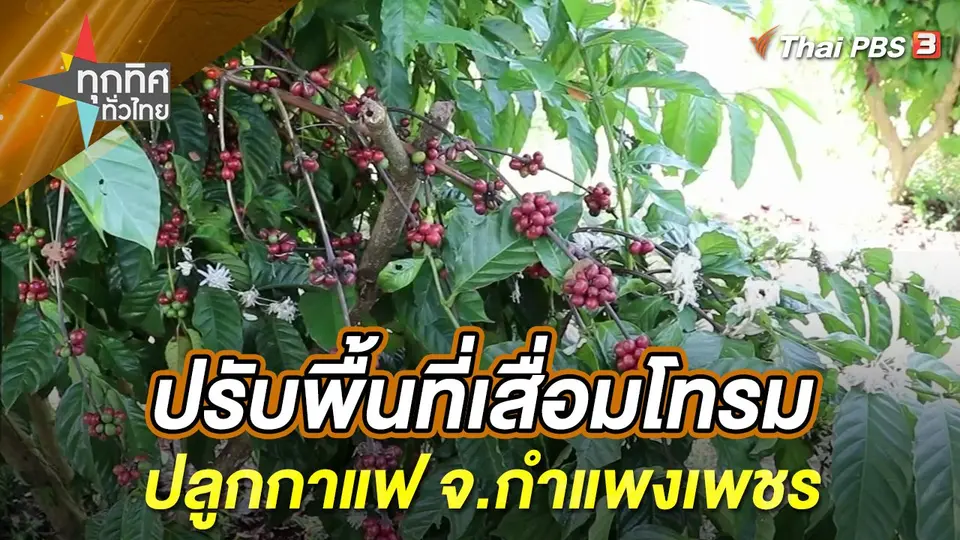 ทุกทิศทั่วไทย