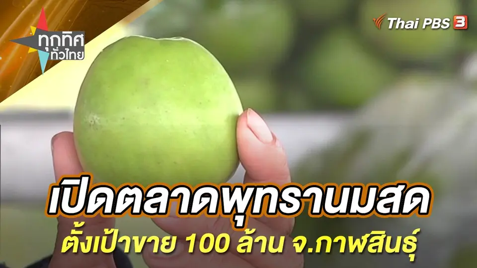 ทุกทิศทั่วไทย