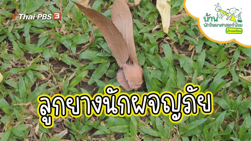 ลูกยางนักผจญภัย