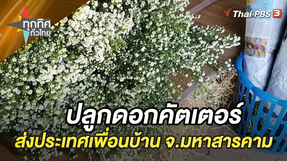ทุกทิศทั่วไทย