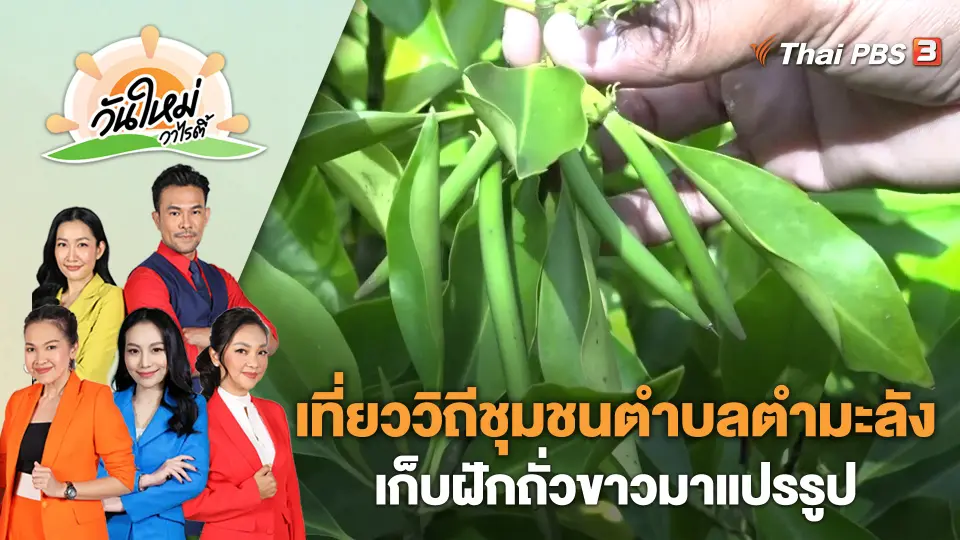 วันใหม่วาไรตี้
