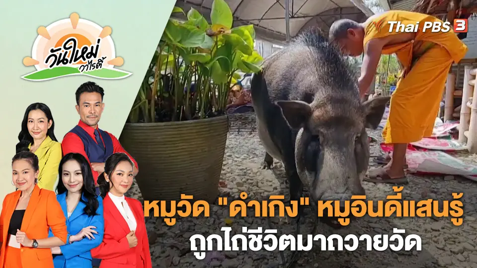 วันใหม่วาไรตี้