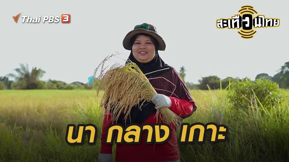 สะเทือนไทย