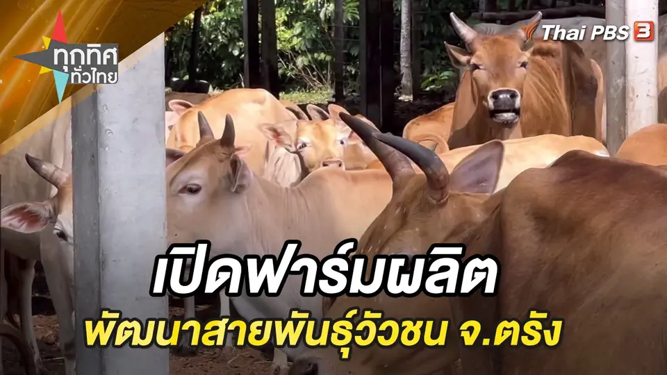 ทุกทิศทั่วไทย