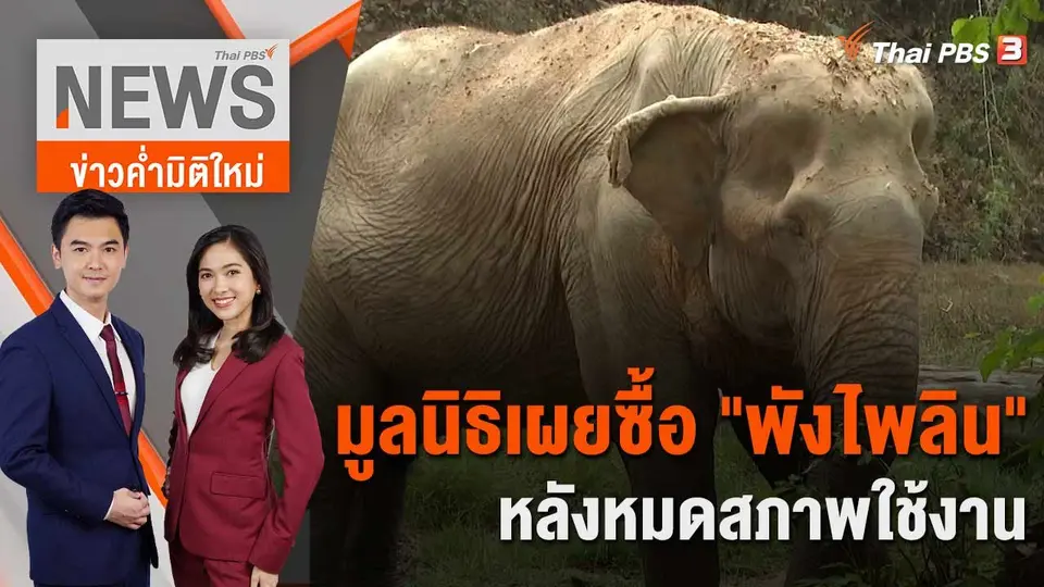 ข่าวค่ำมิติใหม่