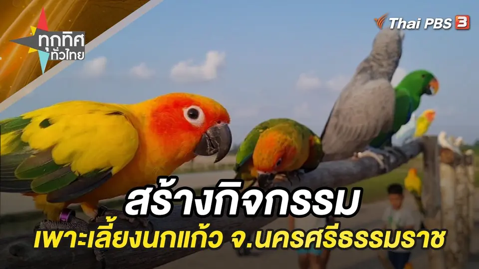 ทุกทิศทั่วไทย