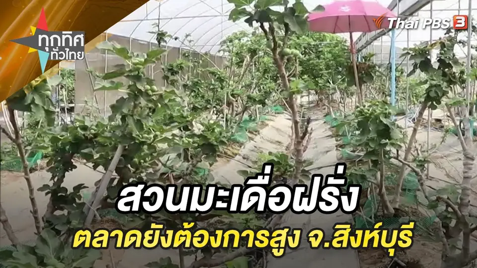 ทุกทิศทั่วไทย