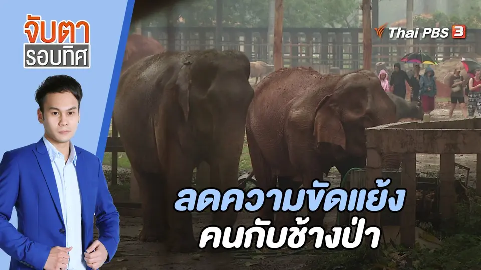 จับตารอบทิศ