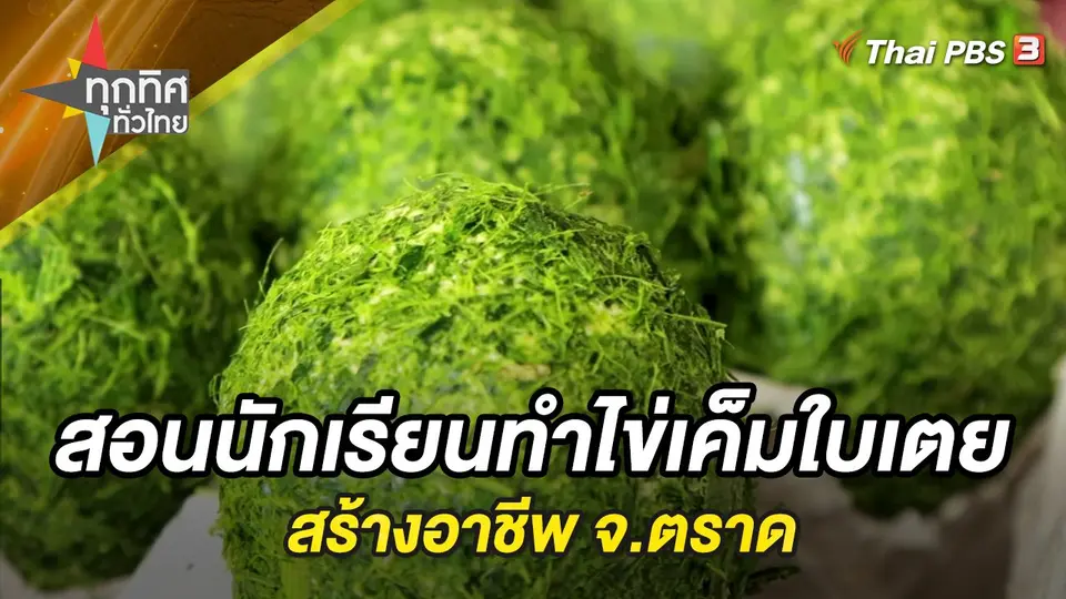 ทุกทิศทั่วไทย