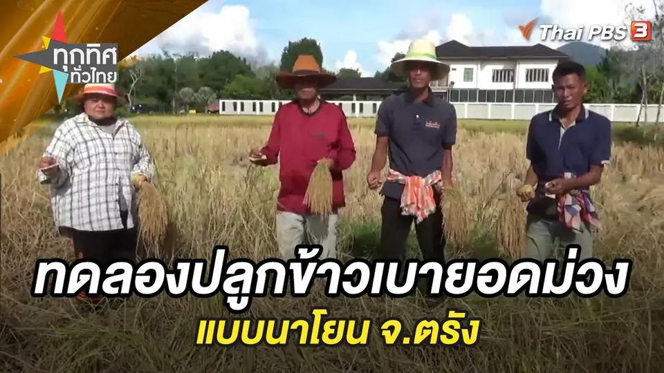 ทุกทิศทั่วไทย