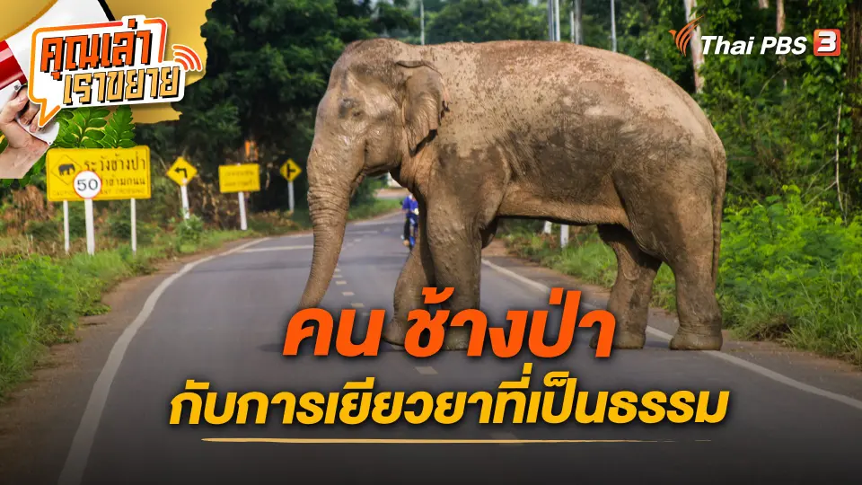 คุณเล่า เราขยาย