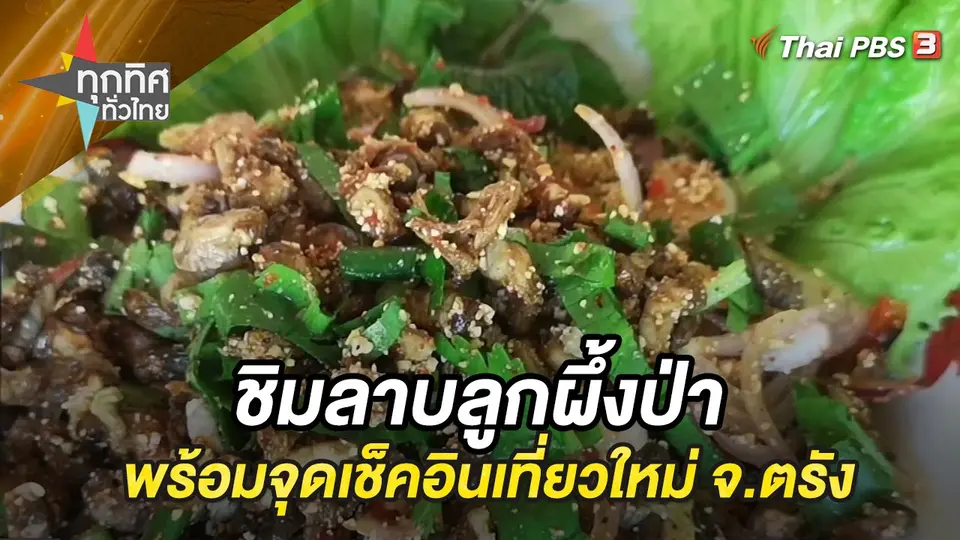 ทุกทิศทั่วไทย