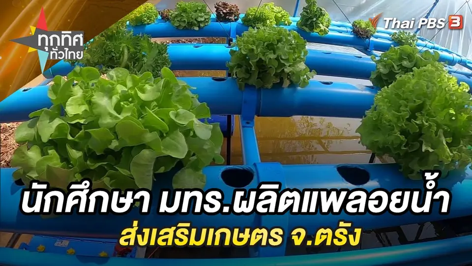 ทุกทิศทั่วไทย