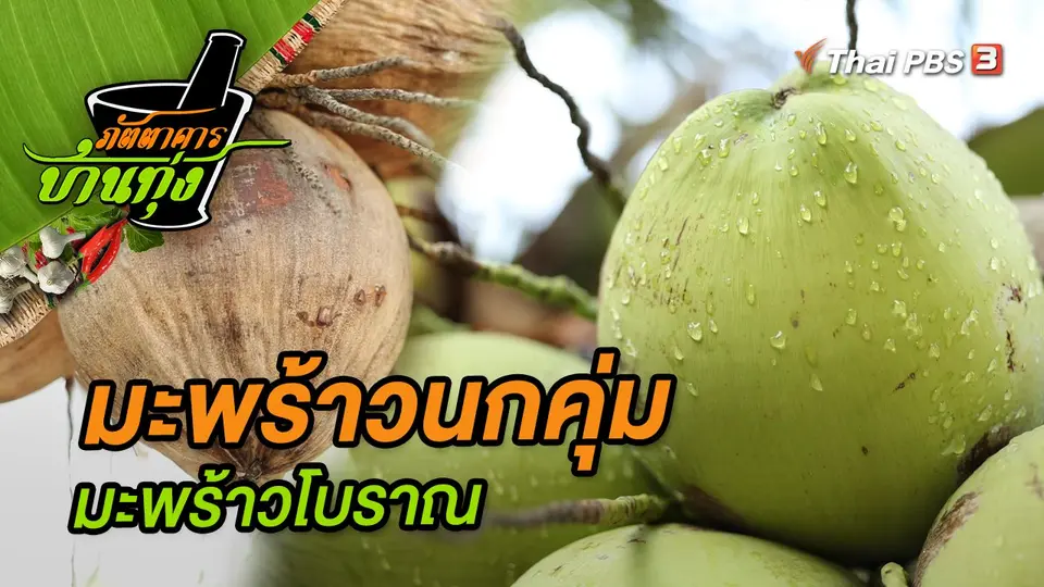 มะพร้าวนกคุ่ม
