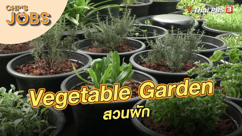 Vegetable Garden