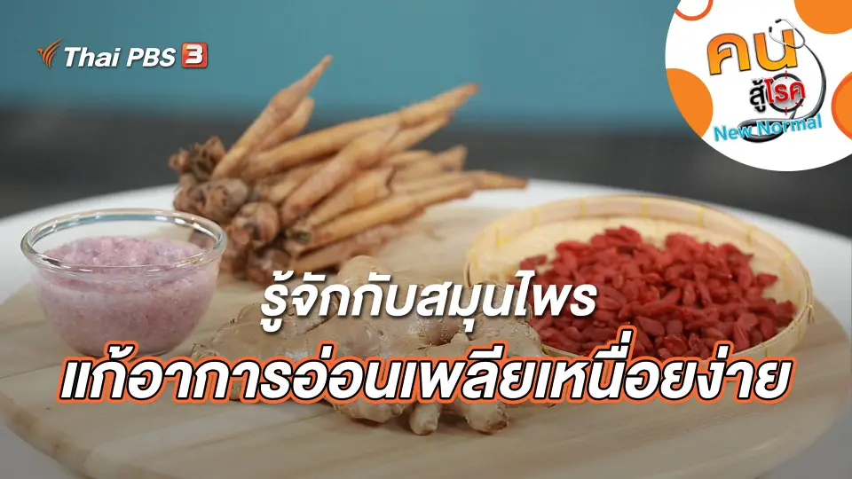 สมุนไพรแก้อาการอ่อนเพลียเหนื่อยง่าย