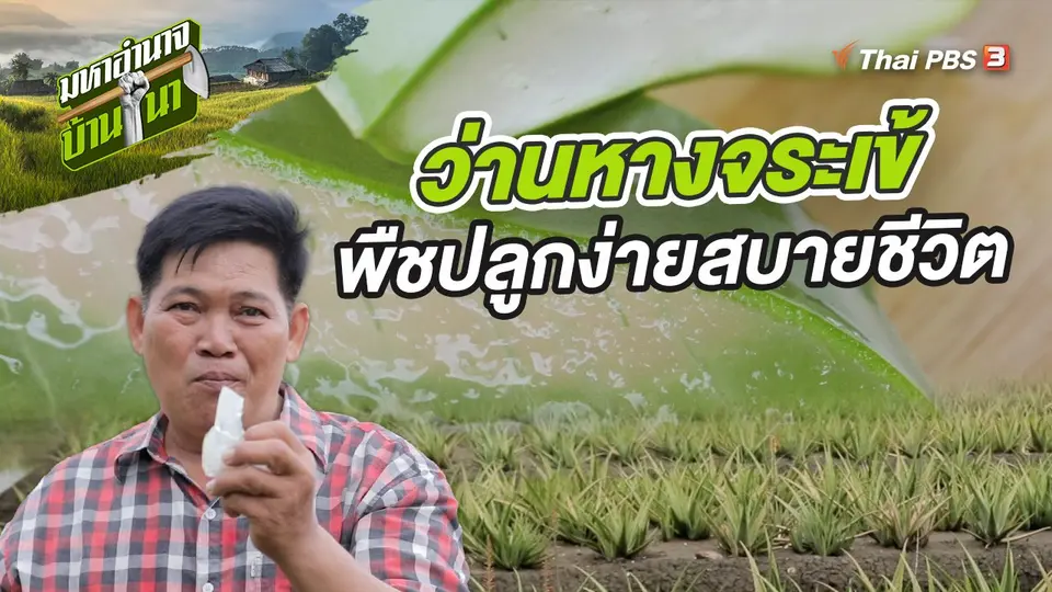 มหาอำนาจบ้านนา