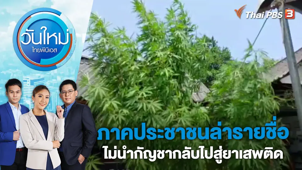 ​ภาคประชาชนล่ารายชื่อไม่นำกัญชากลับไปสู่ยาเสพติด | วันใหม่ ไทยพีบีเอส | 21 เม.ย. 66