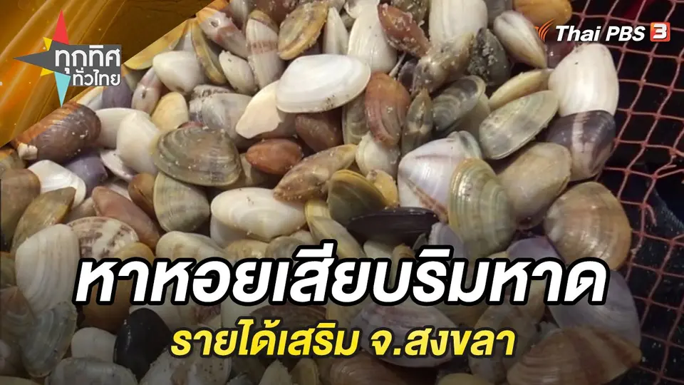 ทุกทิศทั่วไทย