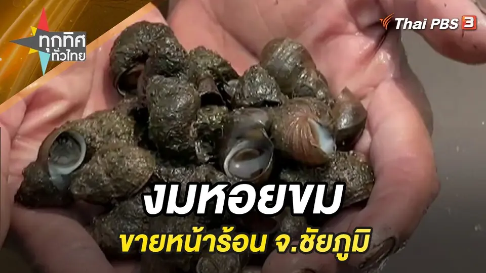 ทุกทิศทั่วไทย