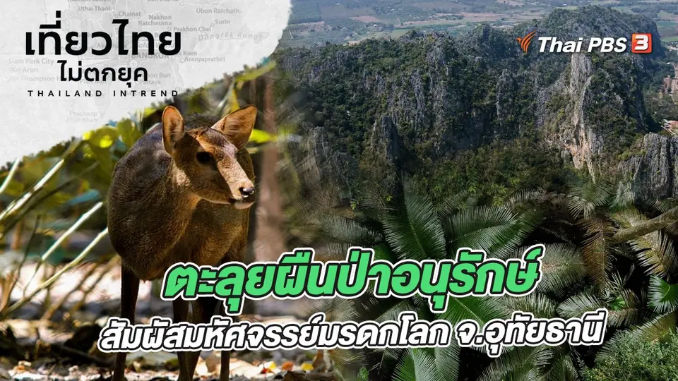 ตะลุยผืนป่าอนุรักษ์ สัมผัสมหัศจรรย์มรดกโลก จังหวัดอุทัยธานี