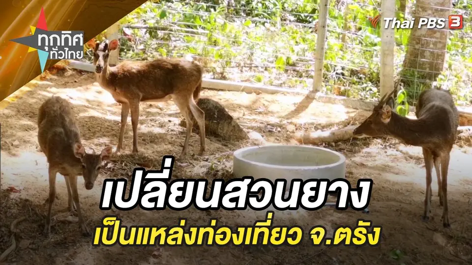 ทุกทิศทั่วไทย