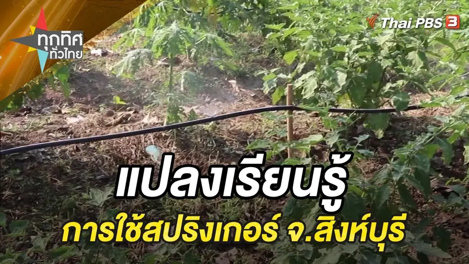 ทุกทิศทั่วไทย
