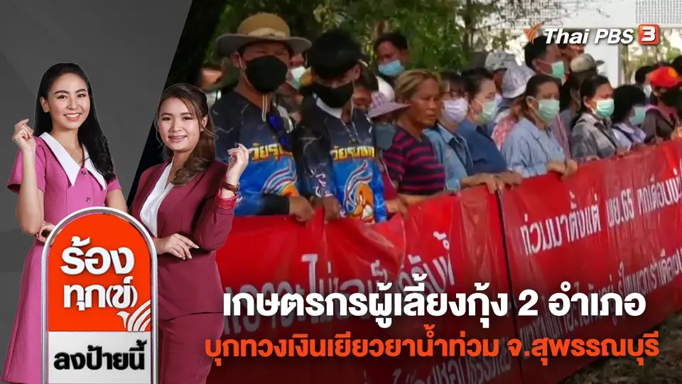 เกษตรกรผู้เลี้ยงกุ้ง 2 อำเภอ บุกทวงเงินเยียวยาน้ำท่วม จ.สุพรรณบุรี