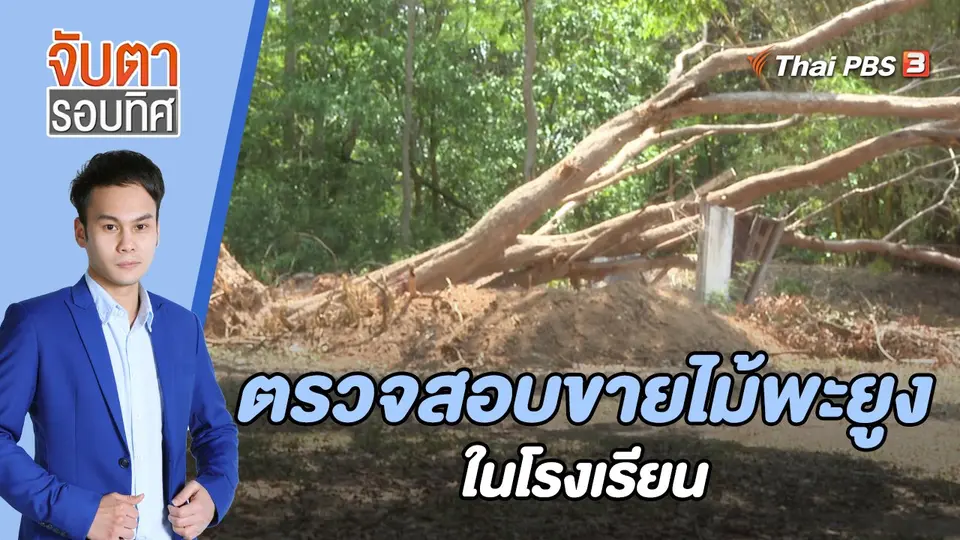 จับตารอบทิศ