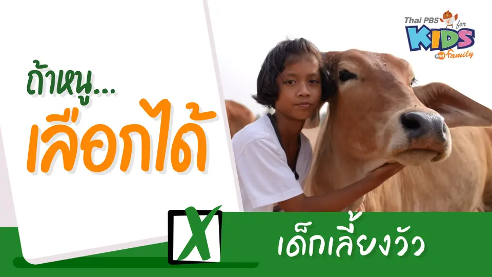 เด็กเลี้ยงวัว
