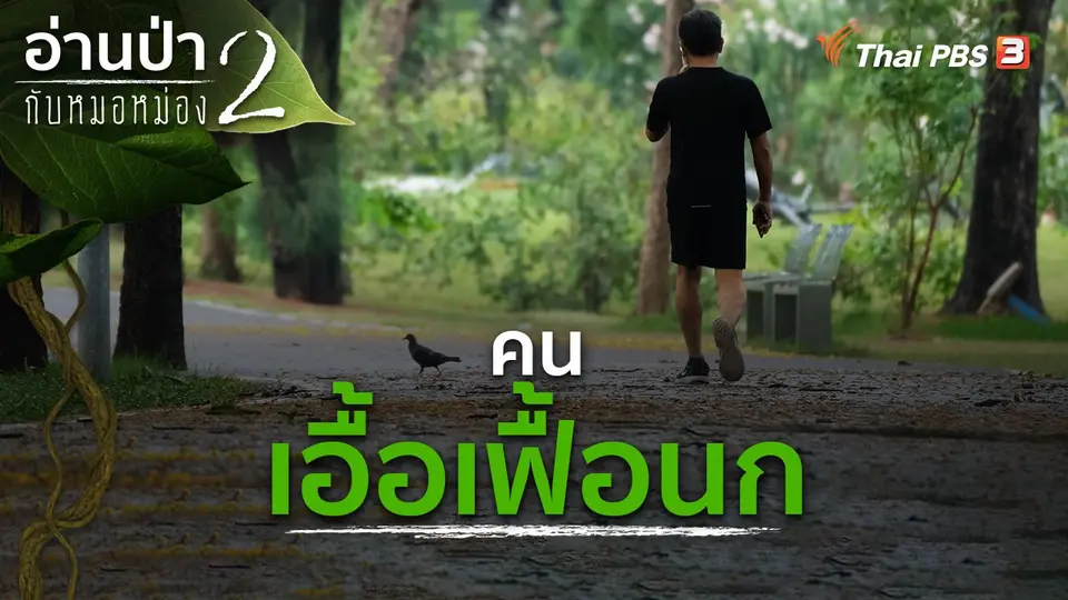 อ่านป่ากับหมอหม่อง