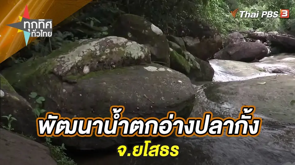 ทุกทิศทั่วไทย