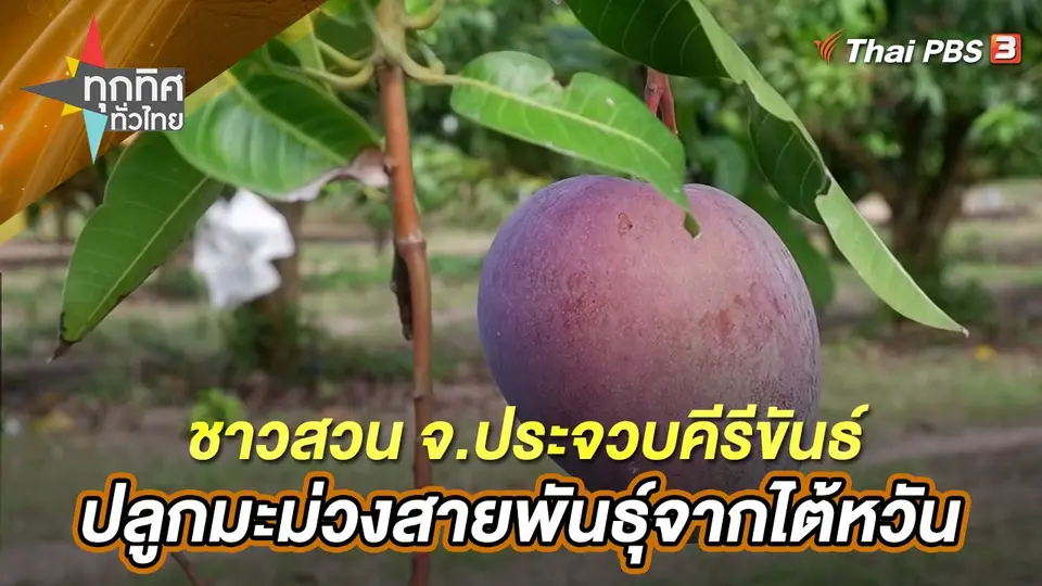 ทุกทิศทั่วไทย
