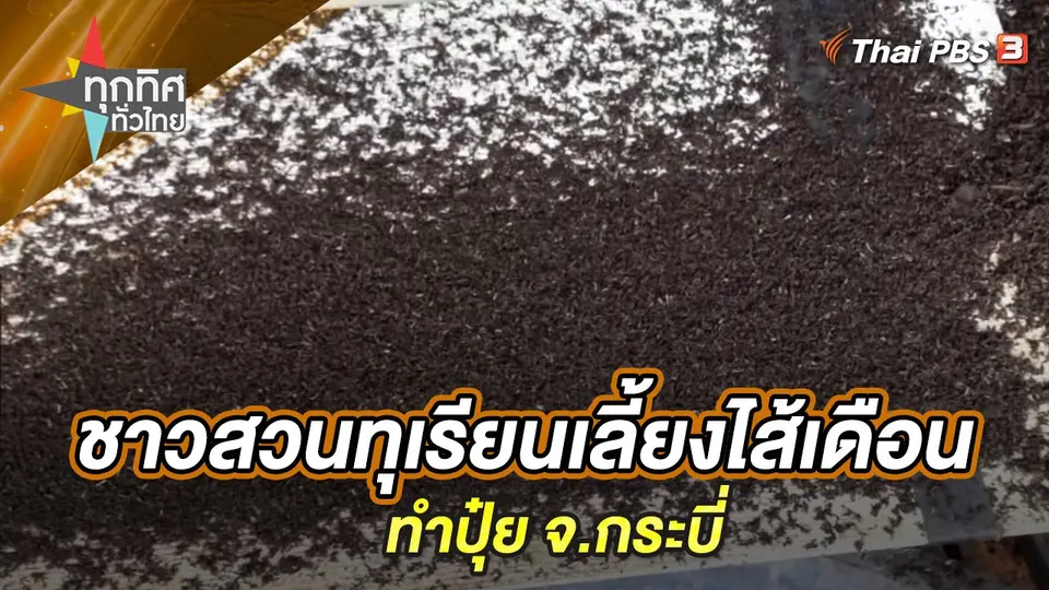 ทุกทิศทั่วไทย
