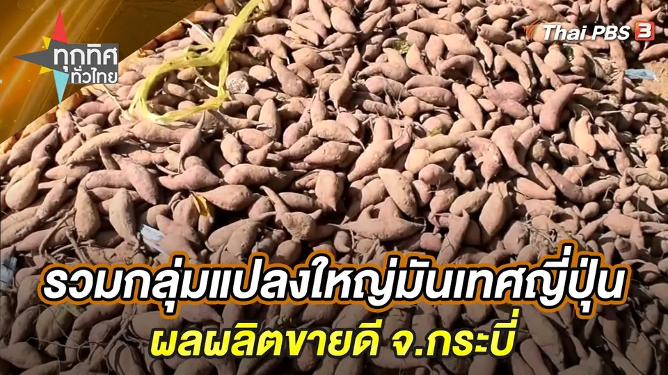 ทุกทิศทั่วไทย