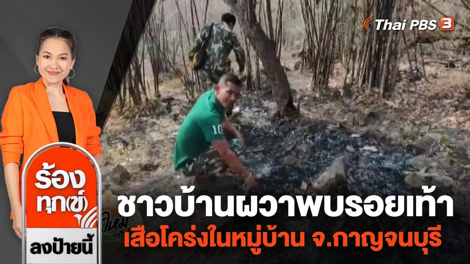 ชาวบ้านผวาพบรอยเท้าเสือโคร่งในหมู่บ้าน จ.กาญจนบุรี