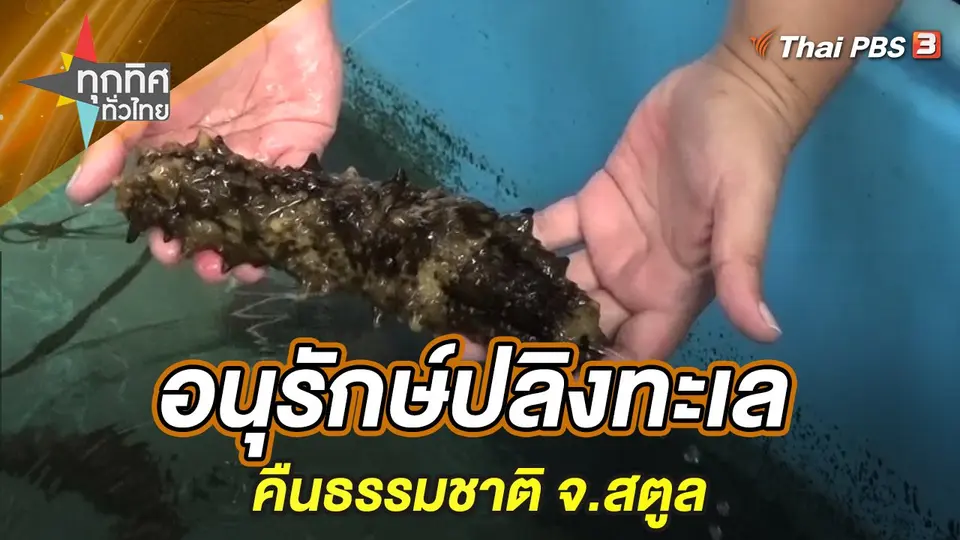 ทุกทิศทั่วไทย