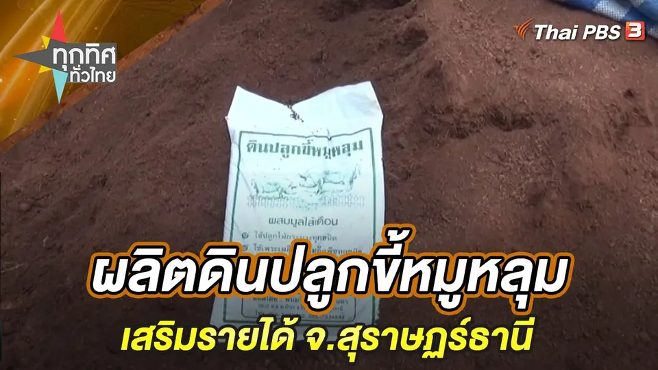 ทุกทิศทั่วไทย