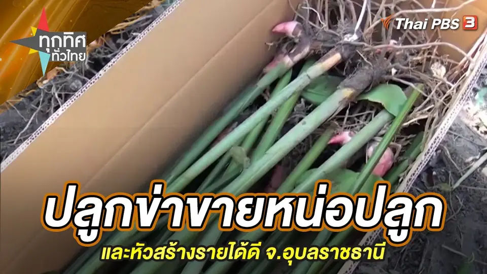 ทุกทิศทั่วไทย