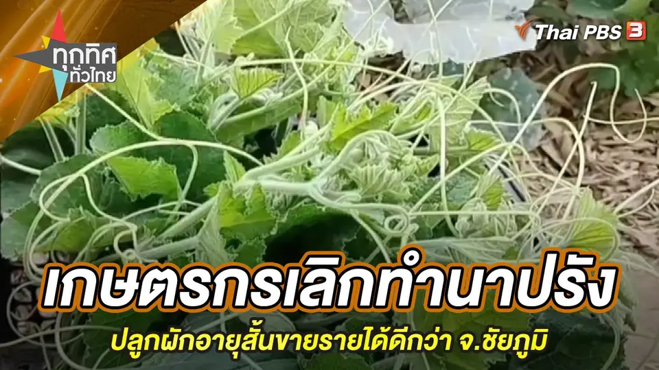 ทุกทิศทั่วไทย