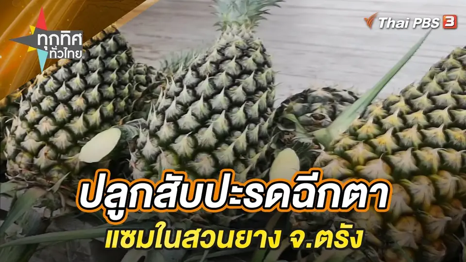 ทุกทิศทั่วไทย