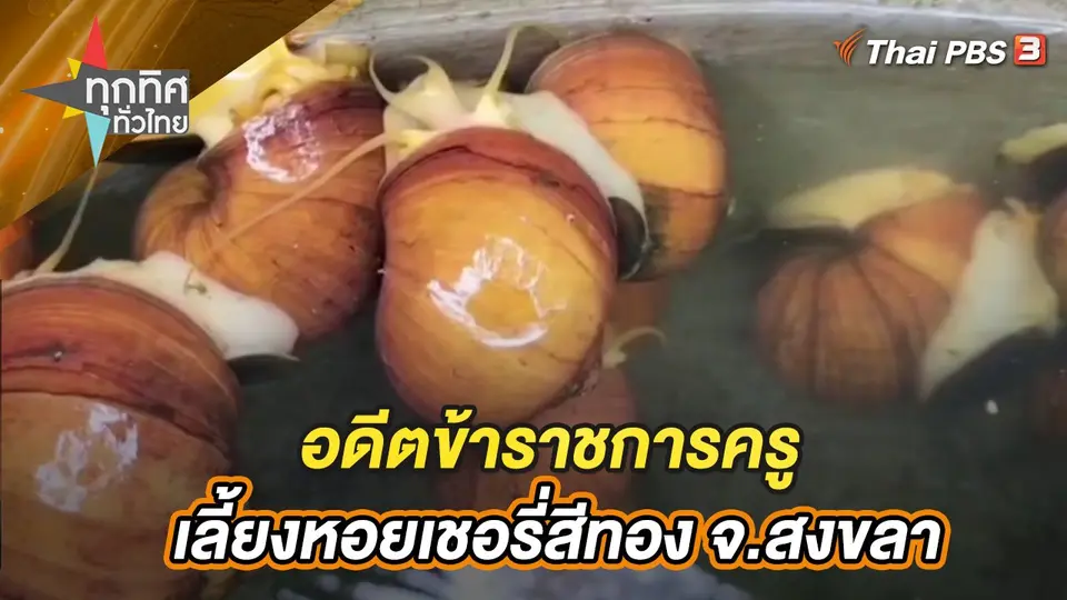 ทุกทิศทั่วไทย