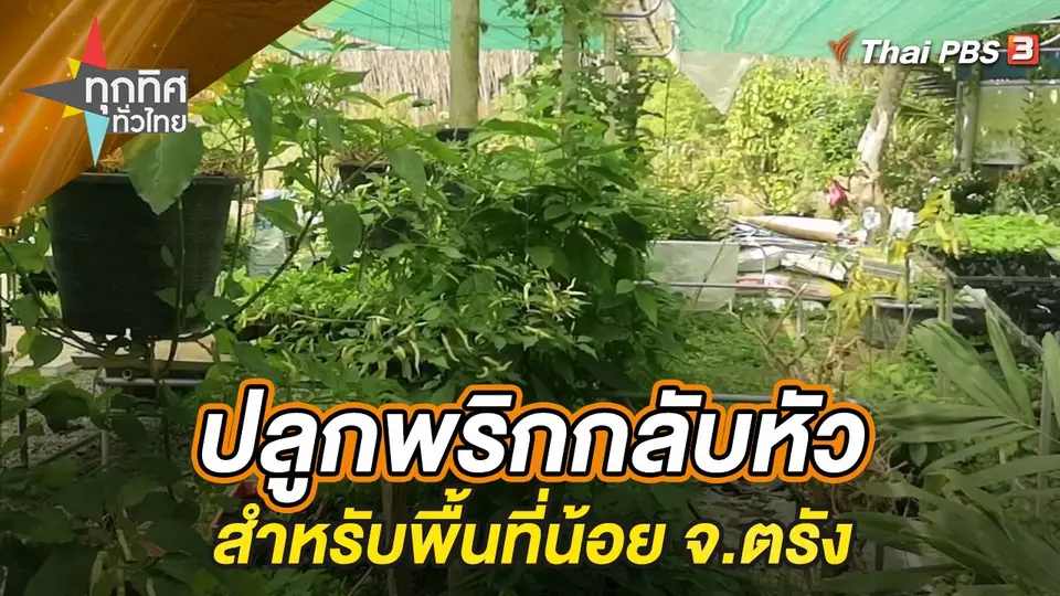 ทุกทิศทั่วไทย