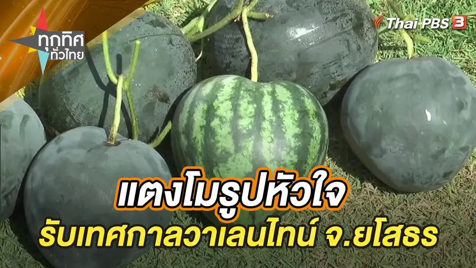 ทุกทิศทั่วไทย