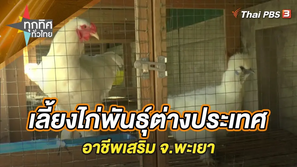 ทุกทิศทั่วไทย